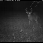 fulton-1473-trail-pics_8179349437_o