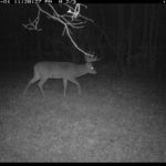 fulton-1473-trail-pics_8179348623_o