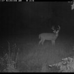 fulton-1473-trail-pics_8179348983_o