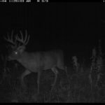 fulton-1473-trail-pics_8179349645_o