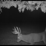 fulton-1473-trail-pics_8179347357_o-1