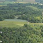 fulton-1473_7808973838_o