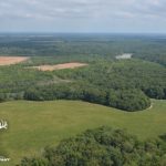 fulton-1473_7808976538_o