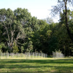 ellis-point-pictures_8365450742_o