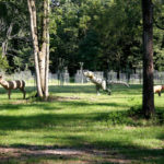 ellis-point-pictures_8365450446_o