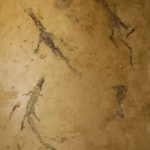 ellis-point-pictures_8365451740_o