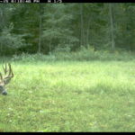 fulton-1473-trail-pics_8179348443_o