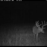 fulton-1473-trail-pics_8179348177_o