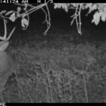 fulton-1473-trail-pics_8179379110_o