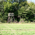 ellis-point-pictures_8364378449_o