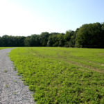 ellis-point-pictures_8364379041_o