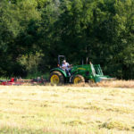 ellis-point-pictures_8364380435_o