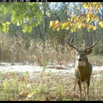 fulton-1473-trail-pics_8179358491_o