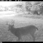 fulton-1473-trail-pics_8179350215_o