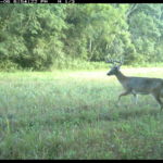 fulton-1473-trail-pics_8179388050_o