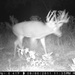 P000-256-256-256-3bh-003-09-0360-1080-0359-1079