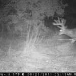 P000-256-256-256-75h-003-09-0360-1080-0359-1079