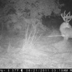 P000-256-256-256-75h-003-09-0360-1080-0359-1079