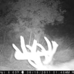 P000-256-256-256-73h-003-09-0360-1080-0359-1079