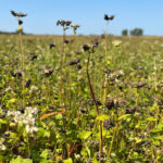 Land for Sale LandCo Farmland for Sale 2022-10-04 at 8.11.55 AM