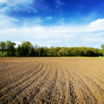 FAE5D896-23DB-4503-B6E4-18DC1BE88B41