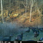 PICT0599_202212042142jtV5j