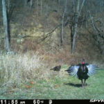 PICT0597_202212041755CldlG