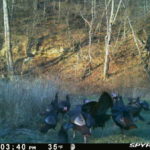 PICT0598_202212042141IdOhv