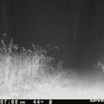 PICT0587_202212030109lGjNk