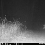 PICT0577_202212010136Xpv4A