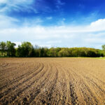 FAE5D896-23DB-4503-B6E4-18DC1BE88B41