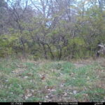 FB95A82A-8B0C-42A5-B187-0501A6CC7BB6