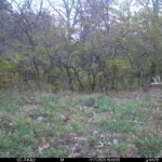 15F5C5E3-54F1-433D-96B0-B706E9FB484E