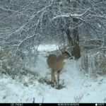 FF02E925-F20F-4DB5-BBA5-5B962BC2788F