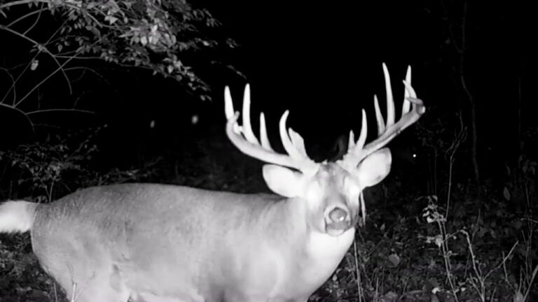 Upcoming Listing | 50 Acres in Peoria County, Illinois