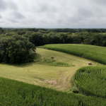 Land-for-Sale-LandCo-Farmland-for-Sale-2024-07-29-at-11.14.14-AM