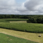 Land-for-Sale-LandCo-Farmland-for-Sale-2024-07-29-at-11.14.05-AM