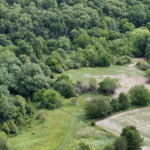 Land-for-Sale-LandCo-Farmland-for-Sale-2024-07-29-at-11.13.35-AM