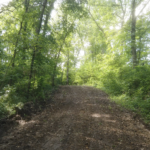 Land-for-Sale-LandCo-Farmland-for-Sale-2024-07-29-at-11.13.21-AM