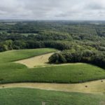 Land-for-Sale-LandCo-Farmland-for-Sale-2024-07-29-at-11.13.47-AM