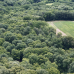 Land-for-Sale-LandCo-Farmland-for-Sale-2024-07-29-at-11.11.53-AM