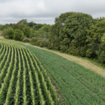 Land-for-Sale-LandCo-Farmland-for-Sale-2024-07-29-at-11.11.37-AM