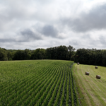 Land-for-Sale-LandCo-Farmland-for-Sale-2024-07-29-at-11.10.47-AM