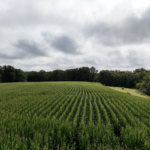 Land-for-Sale-LandCo-Farmland-for-Sale-2024-07-29-at-11.10.22-AM