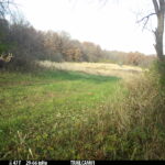 E0us AEC0T 112 S 0 Y 208 B 6 I0 #SNAP ALS3891 C0 T 118 S 0 Y 208 B 6 I0 #E0us 1