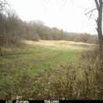 E0us AEC0T 112 S 0 Y 190 B 3 I0 #SNAP ALS3897 C0 T 115 S 0 Y 190 B 3 I0 #E0us 2