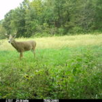 AEC0T 112 S 0 Y 54 B -25 I0 #SNAP ALS3868 C0 T 112 S 25 Y 54 B -25 I0 #1