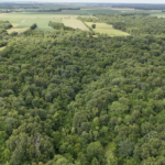 Land-for-Sale-LandCo-Farmland-for-Sale-2024-07-16-at-3.14.47-PM