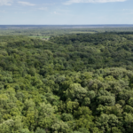 Land-for-Sale-LandCo-Farmland-for-Sale-2024-07-16-at-3.15.15-PM