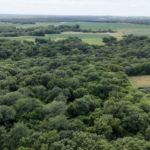 Land-for-Sale-LandCo-Farmland-for-Sale-2024-07-16-at-3.15.01-PM